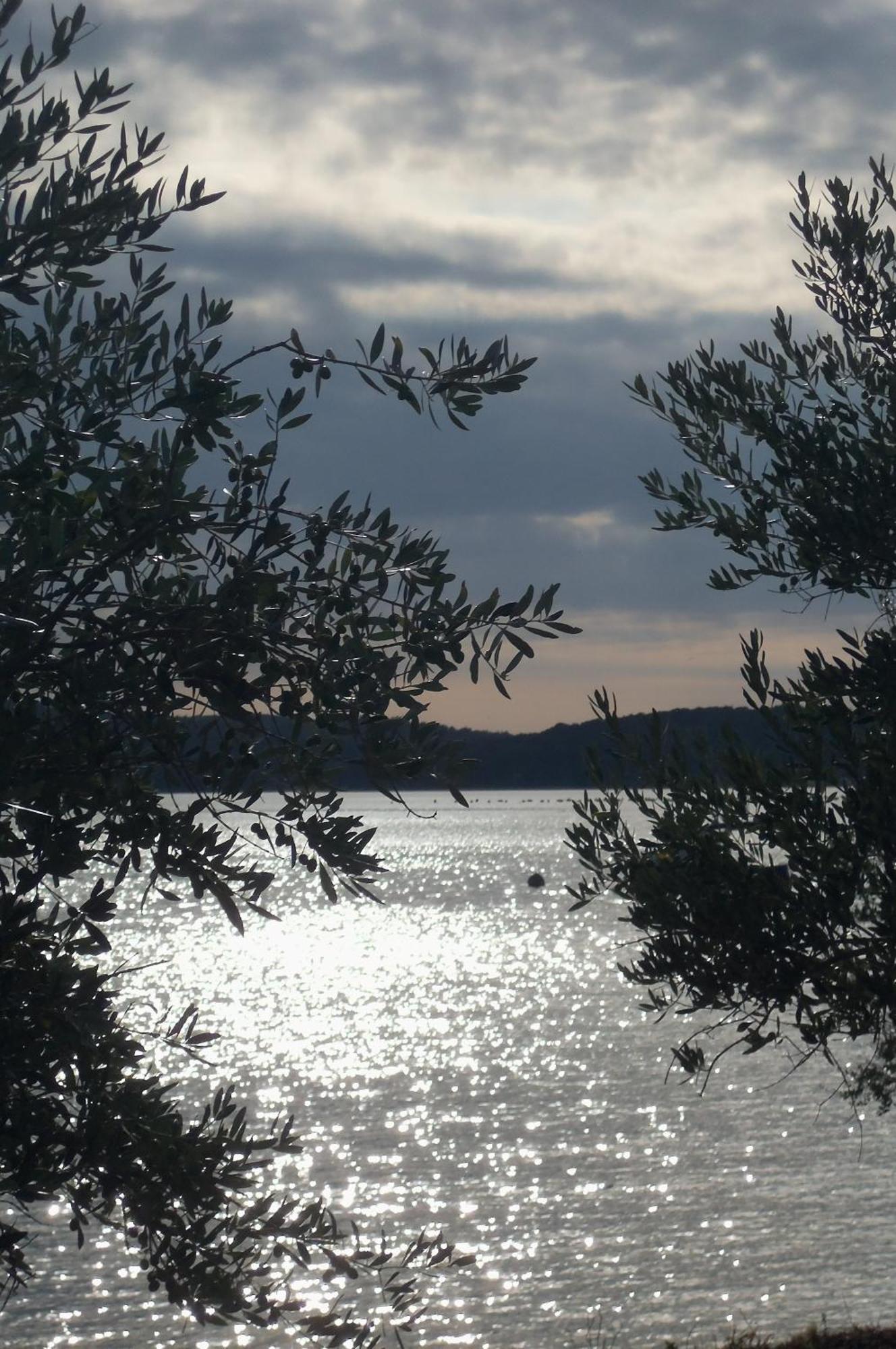 Apartma Burle Vista Medulin